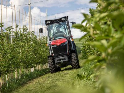 Specialist-Tractors-Massey-Ferguson-MF-3-Series-01 Massey Ferguson MF 3 Series